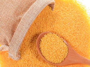 Foxtail Millet